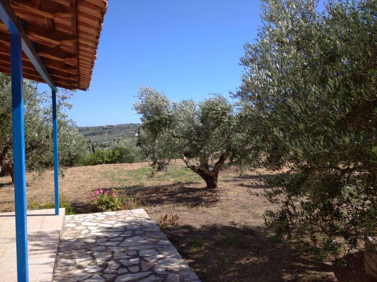 فيلا Aggeliki House 3 Kómboi المظهر الخارجي الصورة